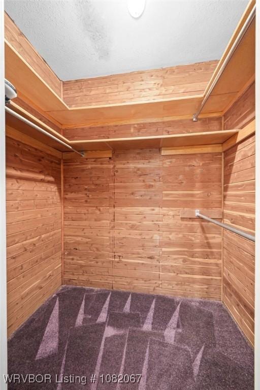 19 Hiland Dr, Fort Smith, AR 72901 - walk in closet with carpet floors