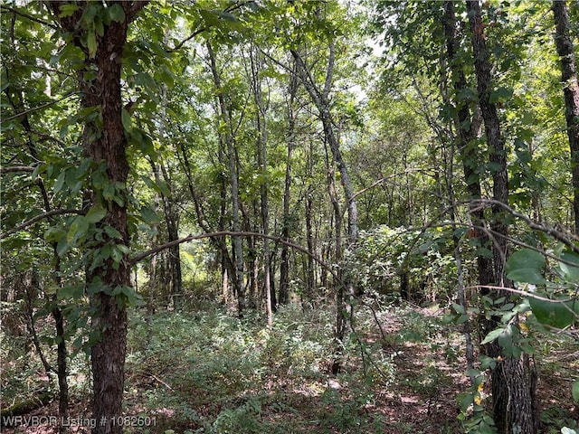 TRACT4 Hidden Creek Rd, Watson, OK 74957 - photo 15