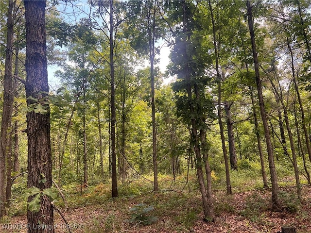 TRACT4 Hidden Creek Rd, Watson, OK 74957 - photo 8