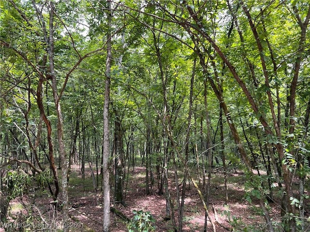 TRACT4 Hidden Creek Rd, Watson, OK 74957 - photo 17