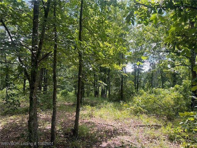 TRACT4 Hidden Creek Rd, Watson, OK 74957 - photo 7