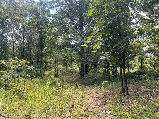 TRACT4 Hidden Creek Rd, Watson, OK 74957 - photo 6