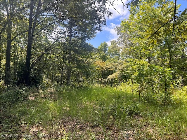 TRACT4 Hidden Creek Rd, Watson, OK 74957 - photo 4