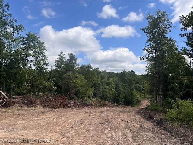 TRACT4 Hidden Creek Rd, Watson, OK 74957 - photo 9
