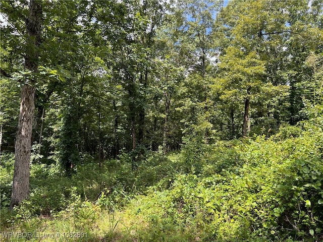 TRACT4 Hidden Creek Rd, Watson, OK 74957 - photo 11