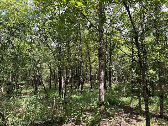 TRACT4 Hidden Creek Rd, Watson, OK 74957 - photo 13