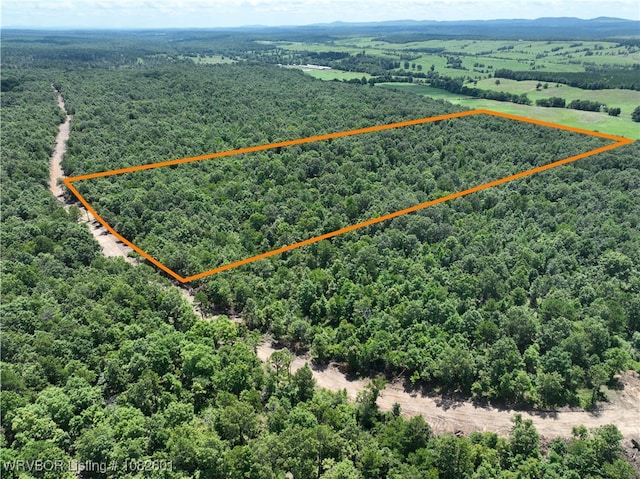 TRACT4 Hidden Creek Rd, Watson, OK 74957 - photo 1