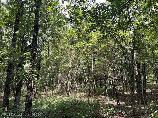 TRACT4 Hidden Creek Rd, Watson, OK 74957 - photo 14