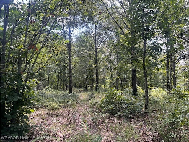 TRACT4 Hidden Creek Rd, Watson, OK 74957 - photo 2