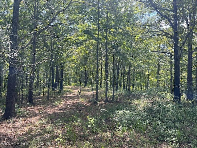 TRACT4 Hidden Creek Rd, Watson, OK 74957 - photo 5