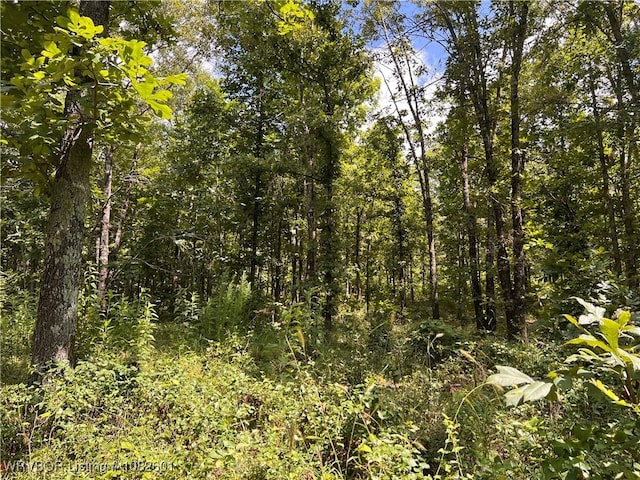 TRACT4 Hidden Creek Rd, Watson, OK 74957 - photo 20
