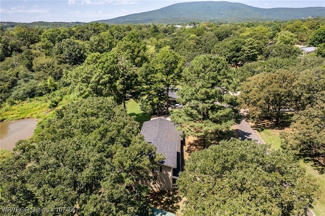 drone / aerial view featuring a mountain view