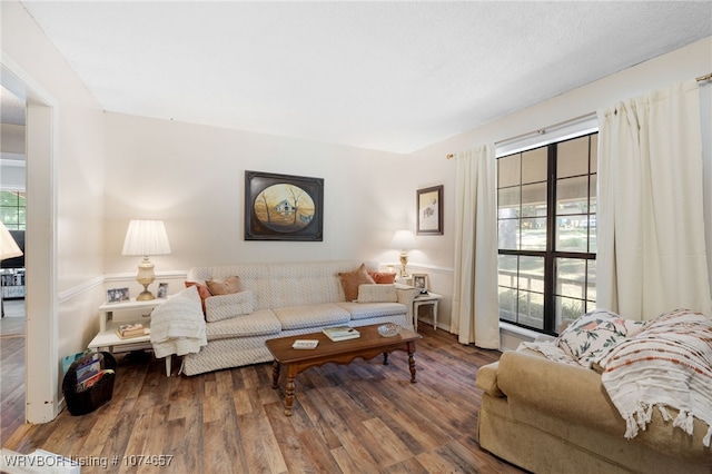 living room featuring wood-type flooring