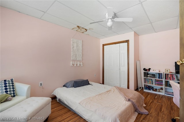 bedroom with dark hardwood / wood-style flooring, ceiling fan, a closet, and a drop ceiling