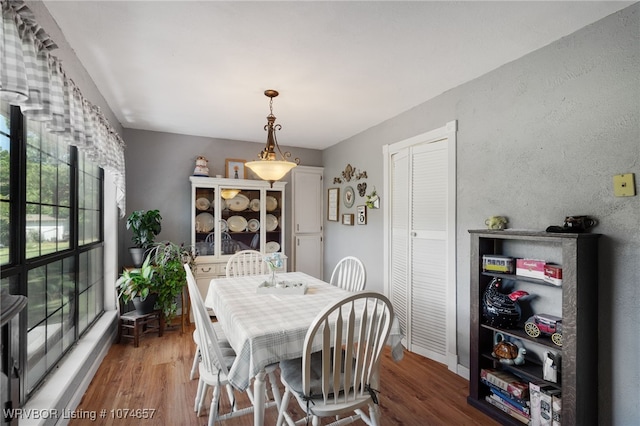 dining space with hardwood / wood-style flooring