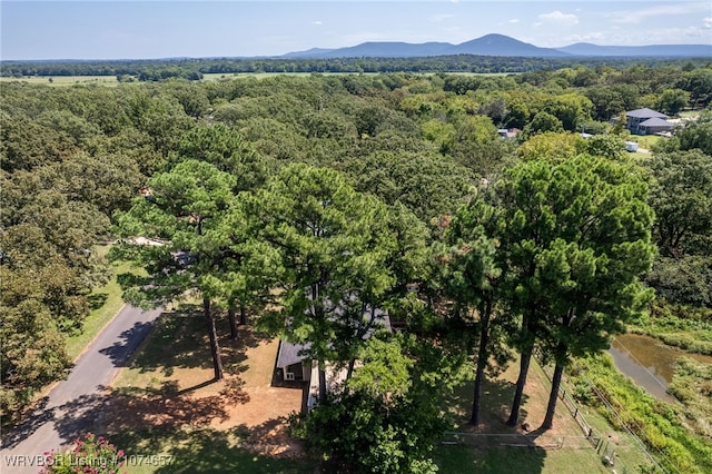 drone / aerial view with a mountain view