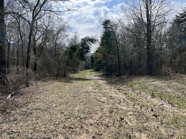 Listing photo 3 for TBD County Line Road, Booneville AR 72927