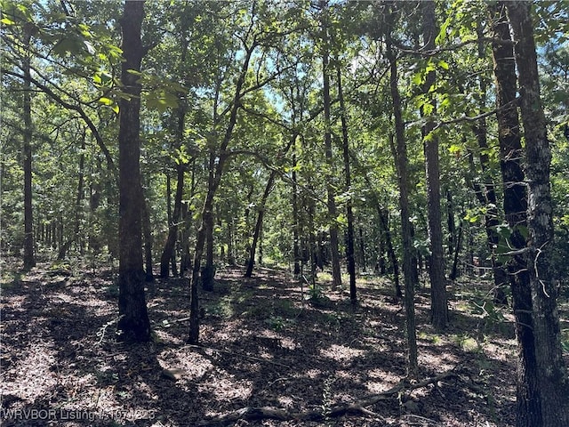 RawLand Ne 1060 Avenue, Red Oak, OK 74563 - photo 10