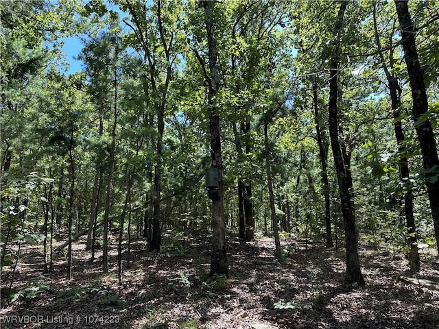 RawLand Ne 1060 Avenue, Red Oak, OK 74563 - photo 8