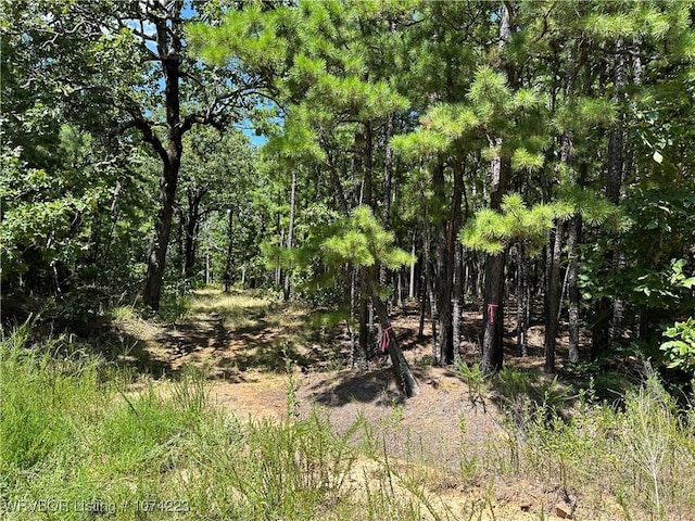 RawLand Ne 1060 Avenue, Red Oak, OK 74563 - photo 31
