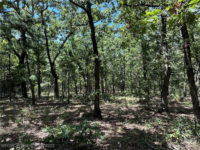 RawLand Ne 1060 Avenue, Red Oak, OK 74563 - photo 9