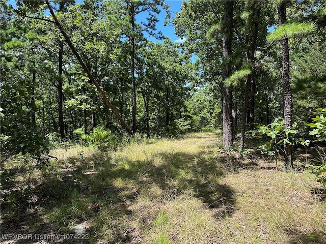 RawLand Ne 1060 Avenue, Red Oak, OK 74563 - photo 15