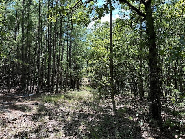 RawLand Ne 1060 Avenue, Red Oak, OK 74563 - photo 28