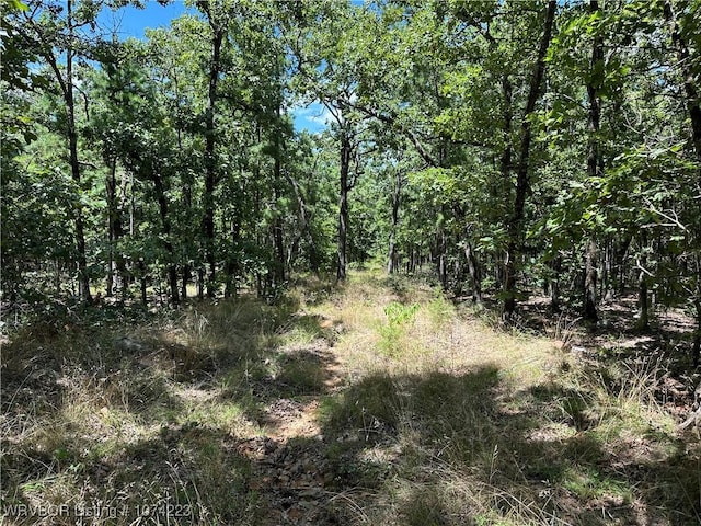 RawLand Ne 1060 Avenue, Red Oak, OK 74563 - photo 11