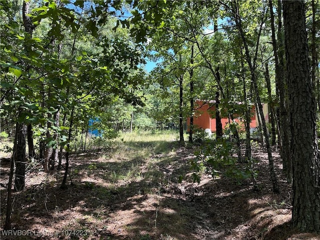 RawLand Ne 1060 Avenue, Red Oak, OK 74563 - photo 29
