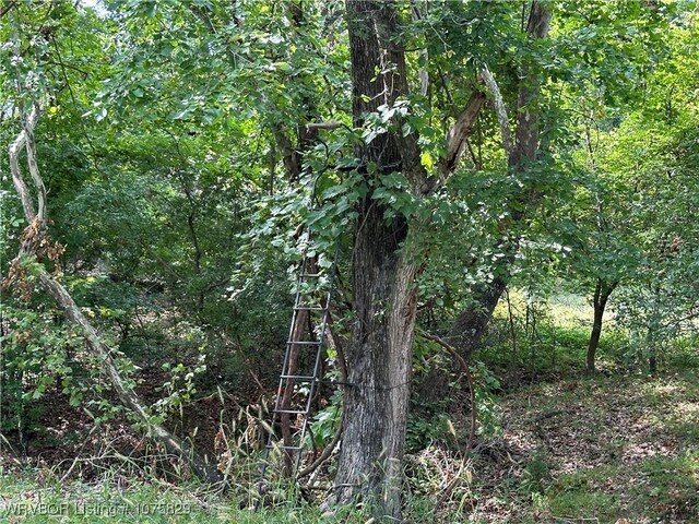 34170 E 241st St, Porter, OK 74454 - photo 26