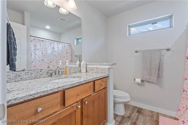 1228 Bradley St, Centerton, AR 72719 - full bath featuring vanity, wood finished floors, plenty of natural light, and a shower with shower curtain