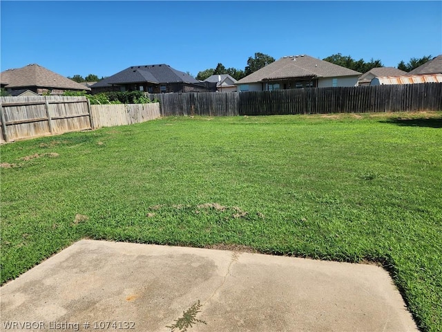 view of yard featuring a patio area