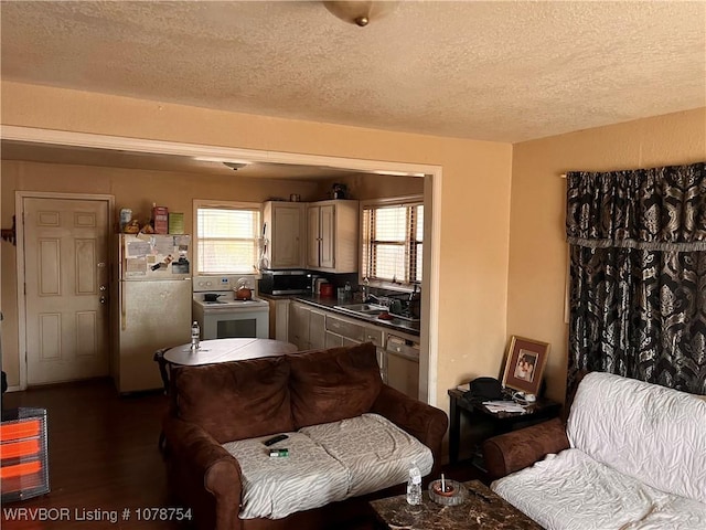 living room with dark wood-type flooring, sink, and a textured ceiling