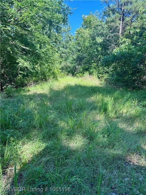 01 Hamilton Hill Rd, Booneville, AR 72927 - photo 25