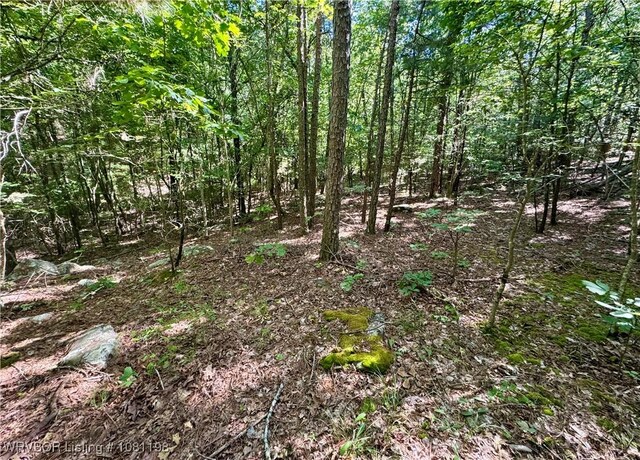 01 Hamilton Hill Rd, Booneville, AR 72927 - photo 23