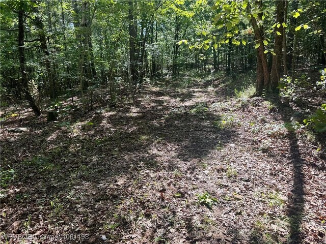 01 Hamilton Hill Rd, Booneville, AR 72927 - photo 18