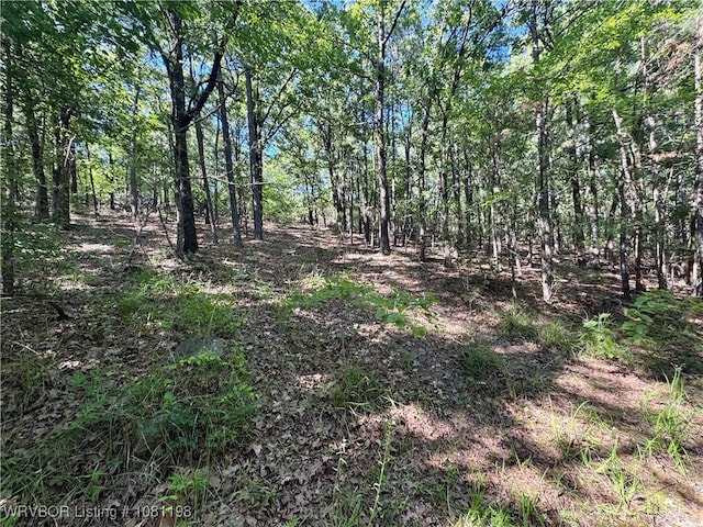 01 Hamilton Hill Rd, Booneville, AR 72927 - photo 5