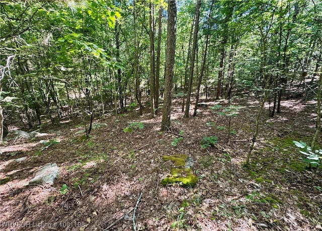 01 Hamilton Hill Rd, Booneville, AR 72927 - photo 24