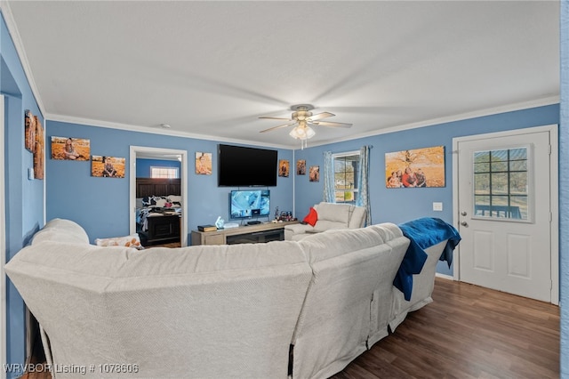 living room featuring dark hardwood / wood-style flooring, ornamental molding, and ceiling fan