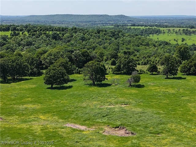 20309 E County Road 1110, Stigler, OK 74462 - bird's eye view
