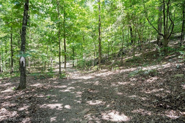 1136 Stonebridge Dr, Greenwood, AR 72936 - photo 35