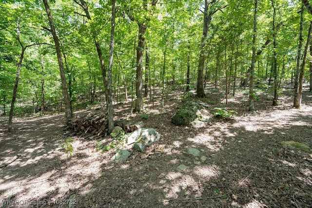1136 Stonebridge Dr, Greenwood, AR 72936 - photo 36