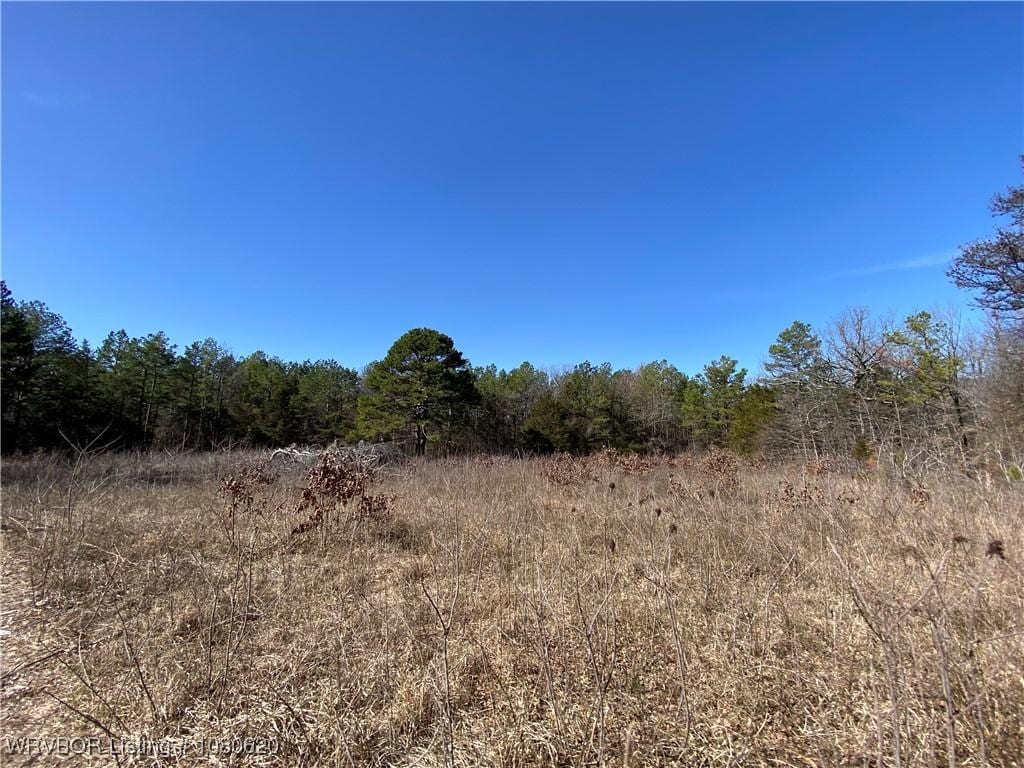 TBDLOT1 W Hartford Rd, Hartford, AR 72938 - photo 1