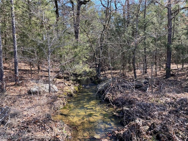 TBDLOT1 W Hartford Rd, Hartford, AR 72938 - photo 3