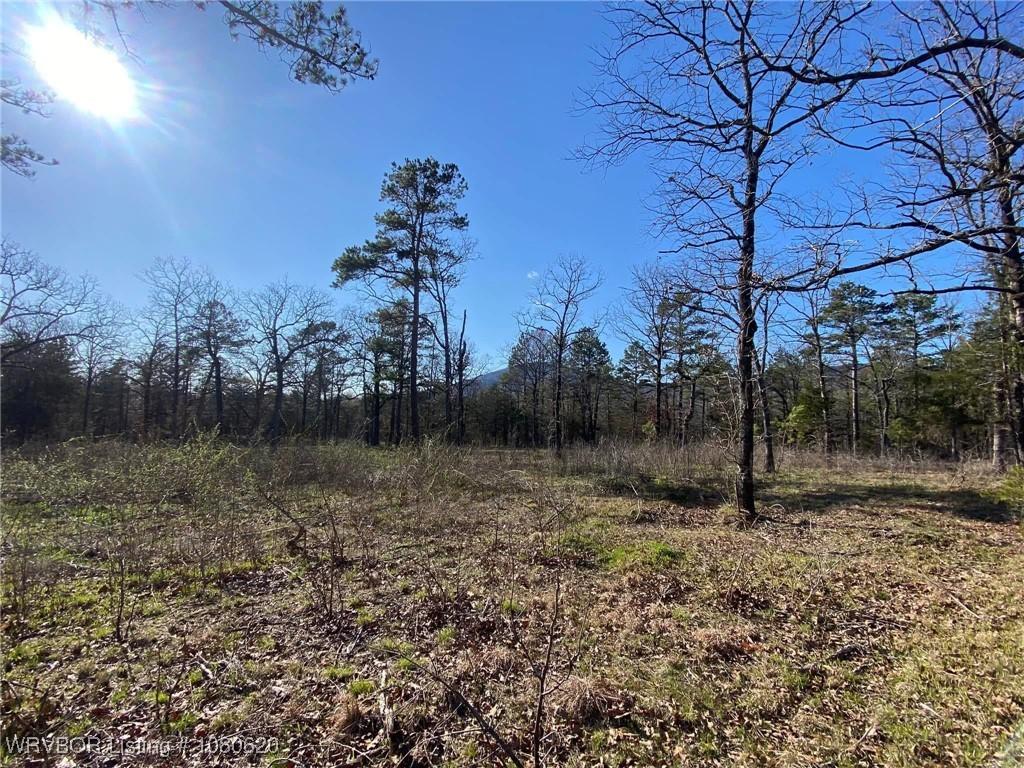 TBDLOT1 W Hartford Rd, Hartford, AR 72938 - photo 2