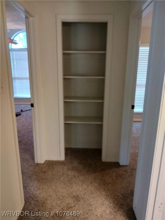 view of closet