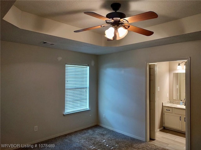 unfurnished room with sink, light carpet, and a raised ceiling