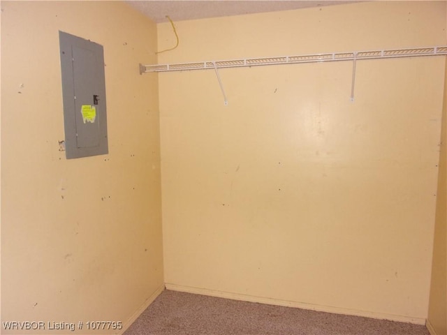 spacious closet with carpet floors and electric panel