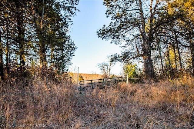 TBD Liberty Hill Rd, Natural Dam, AR 72948