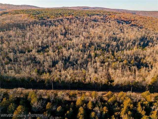 TBD Liberty Hill Rd, Natural Dam, AR 72948